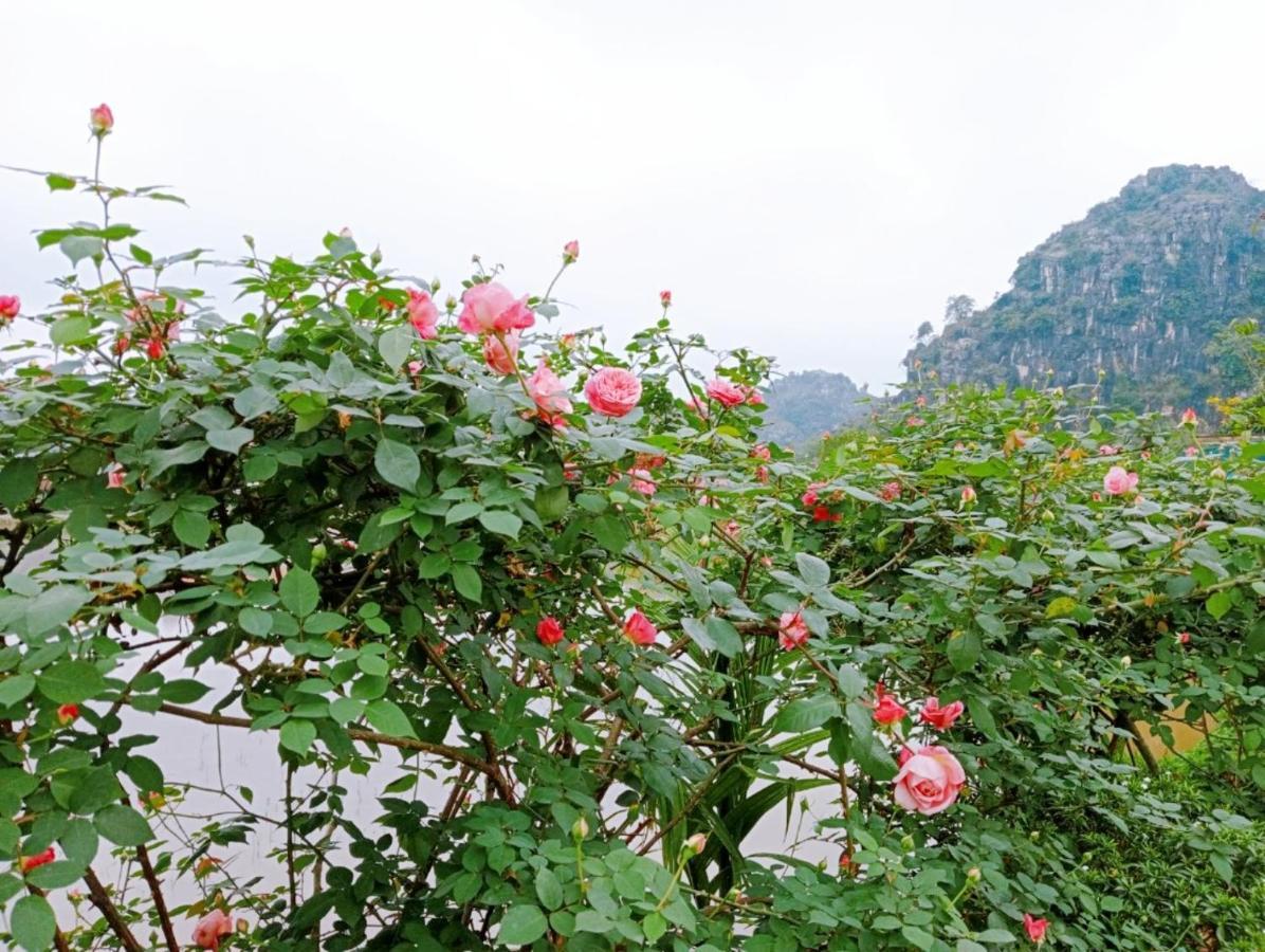Ninh Binh Green Farmstay La Phu  Eksteriør billede