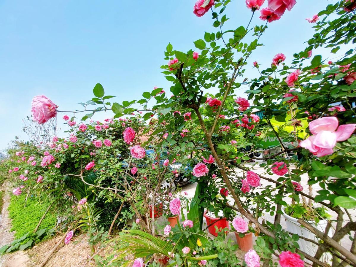 Ninh Binh Green Farmstay La Phu  Eksteriør billede