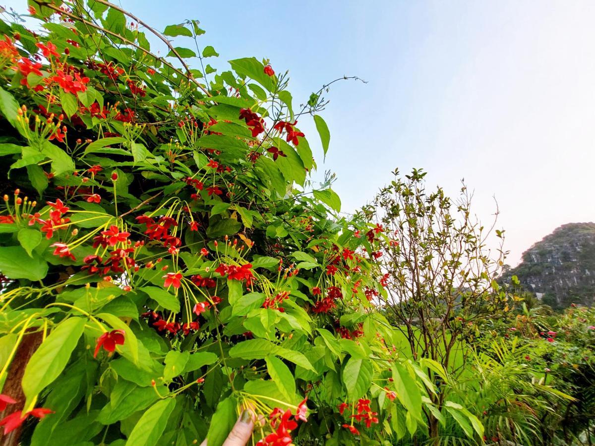 Ninh Binh Green Farmstay La Phu  Eksteriør billede