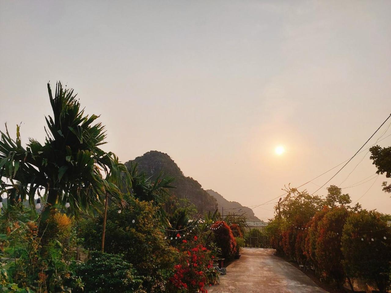 Ninh Binh Green Farmstay La Phu  Eksteriør billede