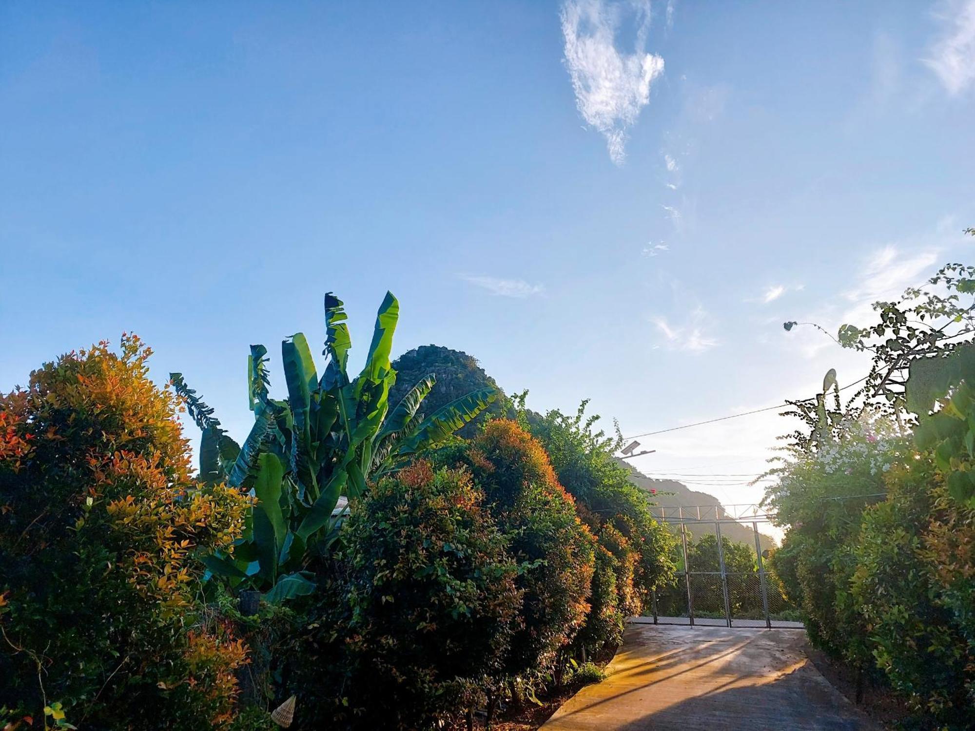 Ninh Binh Green Farmstay La Phu  Eksteriør billede
